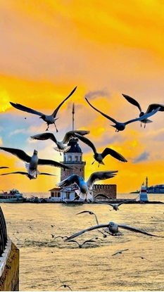 Слика на 19 Март / Aвионска програма -  Истанбул со Принцески острови  4НП - 8-ми Март