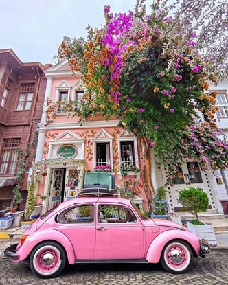 Слика на Истанбул 3НП со Принцески острови